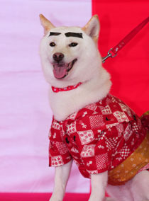 篠原涼子、西村雅彦が浴衣で登場！『花田少年史　幽霊と秘密のトンネル』縁日イベント付き完成披露試写会サブ３