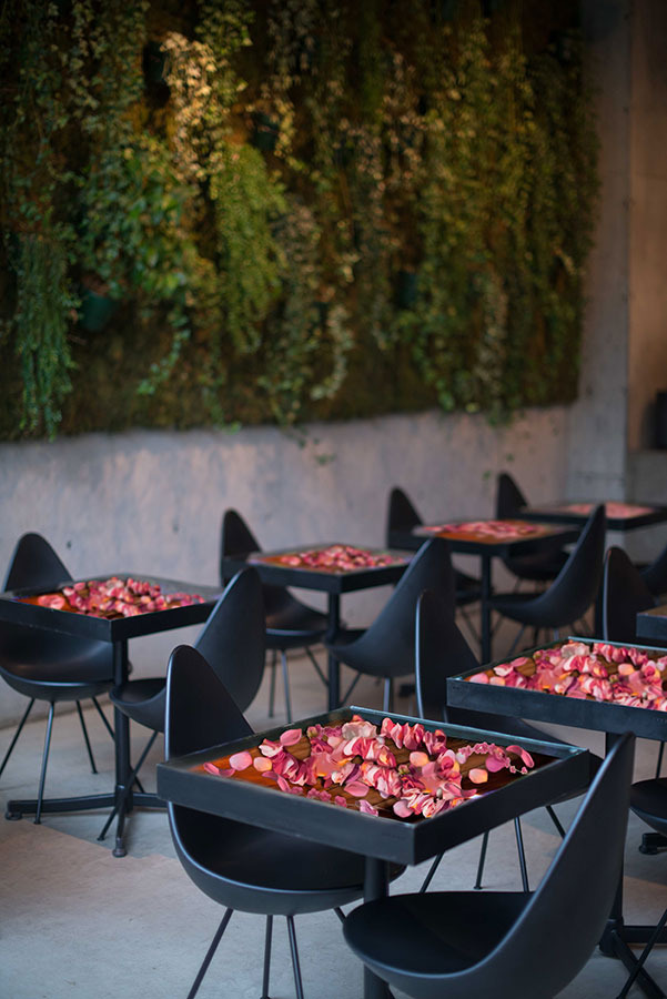 「Nicolai Bergmann Nomu」