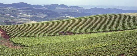 スペイン政府観光局