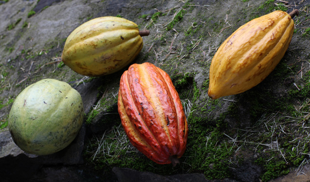 ジャン＝ポール・エヴァンがカカオの含有量にこだわったチョコレート「タブレット アブド」を発売