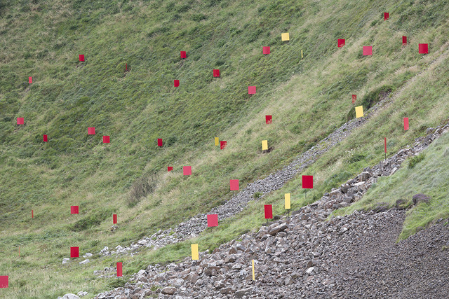 Hans Peter Kuhn ≪Flags≫ 2012