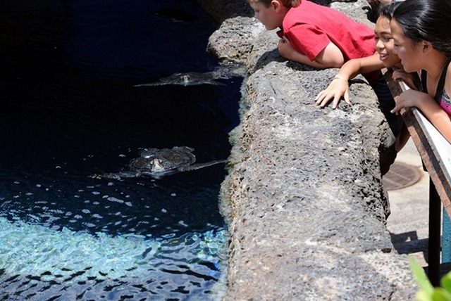 マウイ オーシャン センター