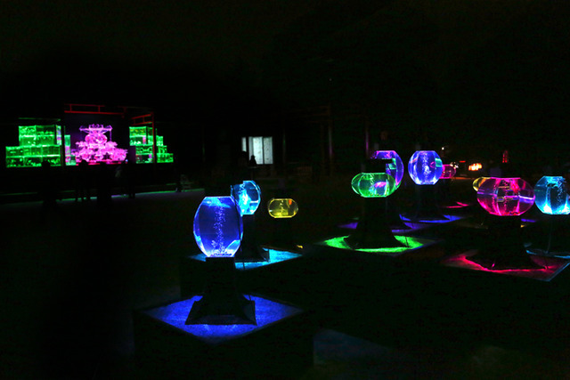 「琳派400年記念祭アートアクアリウム城～京都・金魚の舞～」で特別イベント「ブルーシーフード・ナイト」を開催