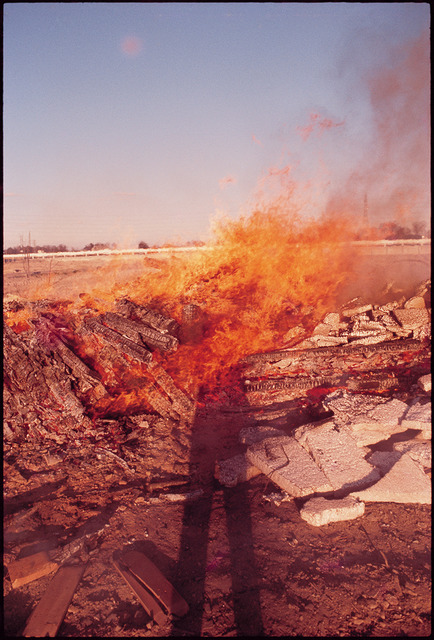 森山大道による写真展「DAIDO IN COLOR」が開催