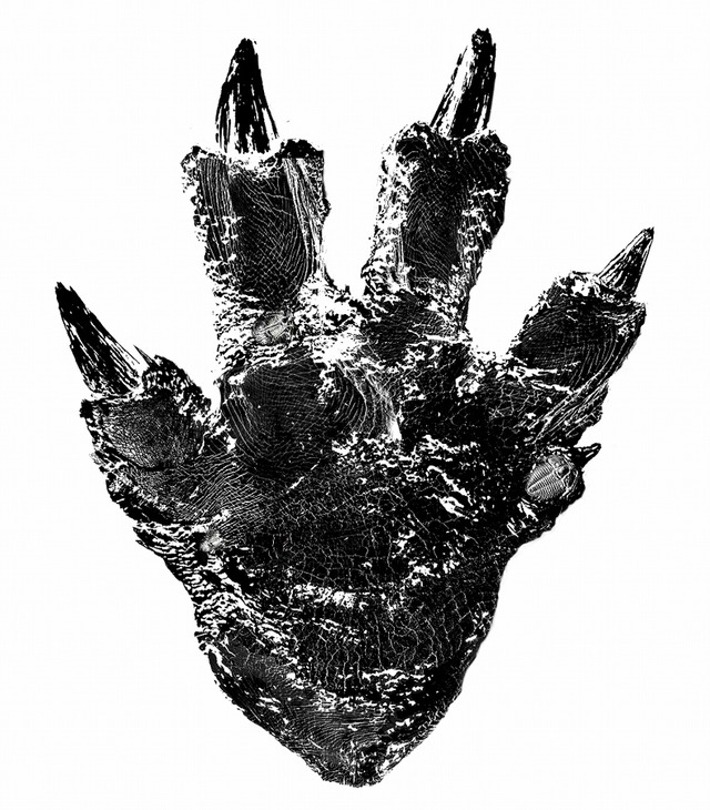 日本版『ゴジラ』最新作で描かれる、ゴジラの足型