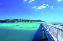 気になった旅行先ランキング