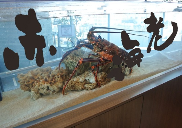 すみだ水族館。書といきものの融合展示｢新春！もじもじ水槽｣。