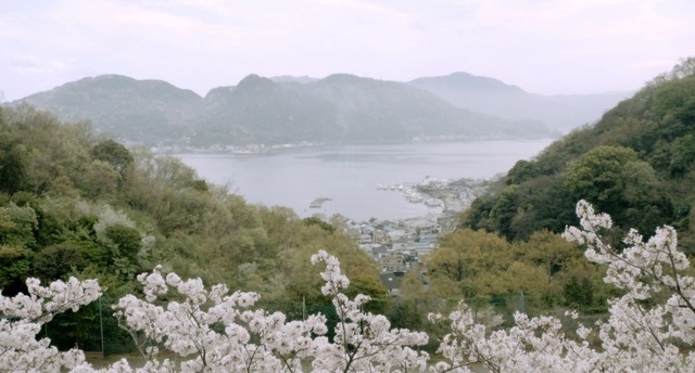 『桜ノ雨』（C） 2015 halyosy、藤田遼、雨宮ひとみ、スタジオ・ハードデラックス／PHP研究所／『桜ノ雨』製作委員会