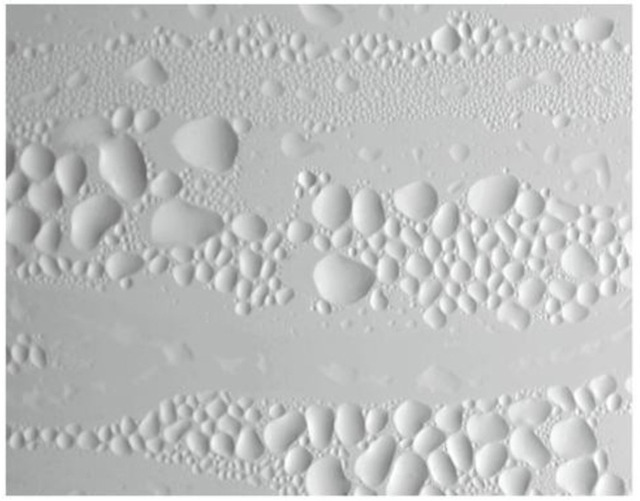 井上織衣による個展「現象 フェノメンヌ（PHENOMENES）」が開催