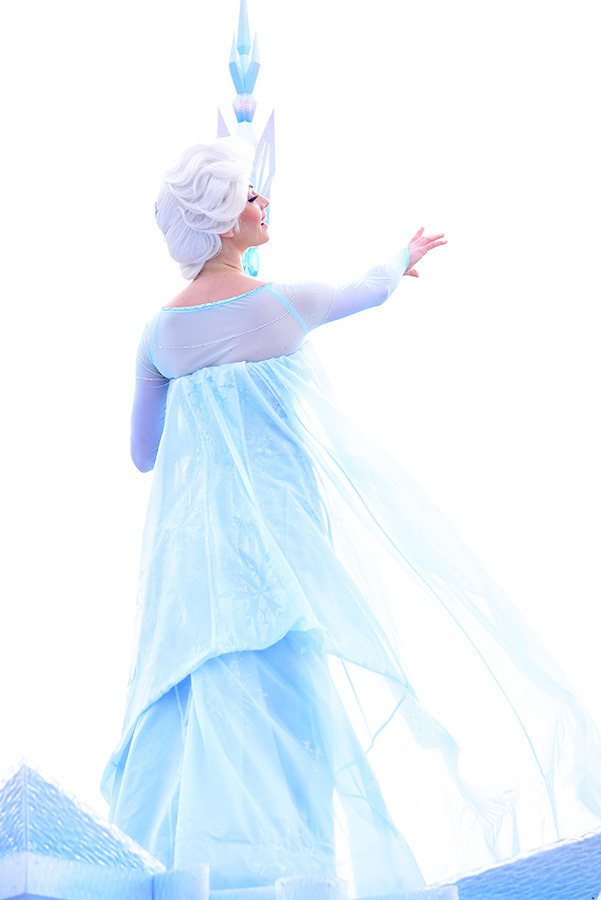 「アナとエルサのフローズンファンタジー」