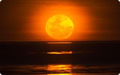 月への階段　キャメルライド