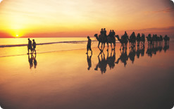 月への階段　キャメルライド