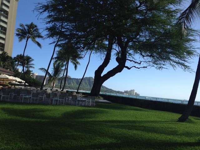 オーキッズの絶景ランチ