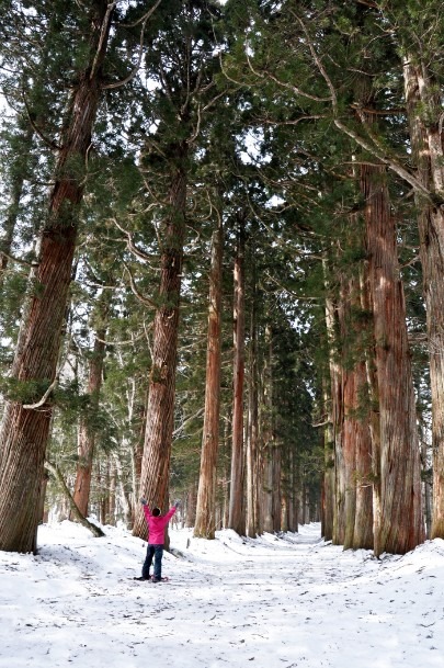 赤倉観光ホテルのスノーシューフォレストセラピー