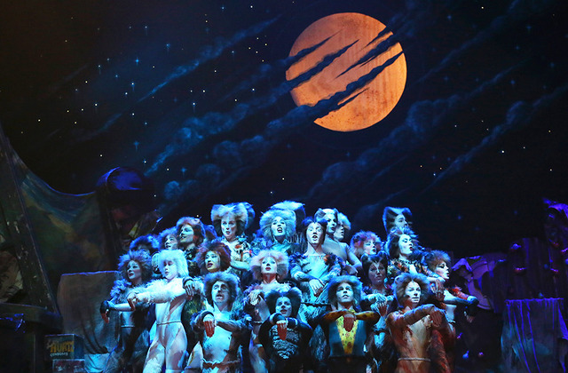 ミュージカル作品「キャッツ」-(C)Getty Images