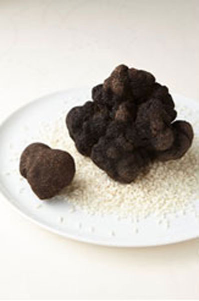 「ロオジエ」黒トリュフスペシャルコースを提供