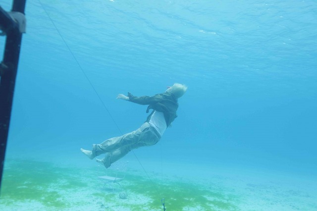 『シェル・コレクター』（C）2016 Shell Collector LLC（USA）、『シェル･コレクター』製作委員会