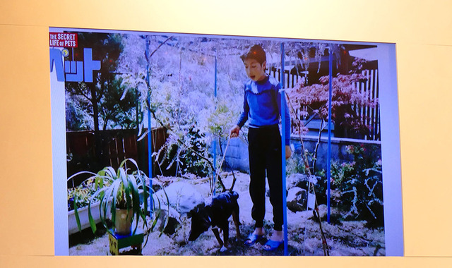 『ペット』日本語版キャスト会見