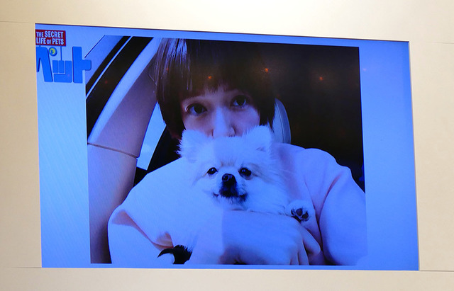 『ペット』日本語版キャスト会見