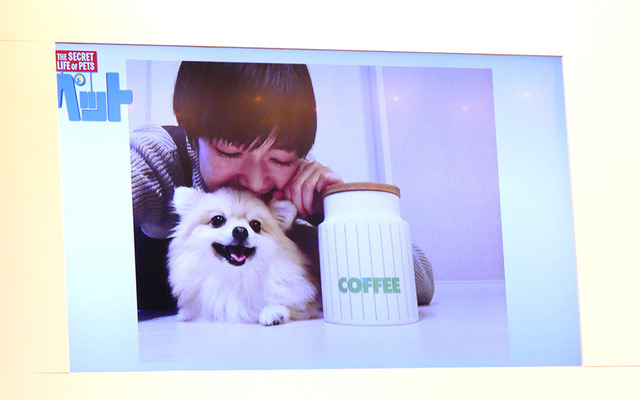 『ペット』日本語版キャスト会見