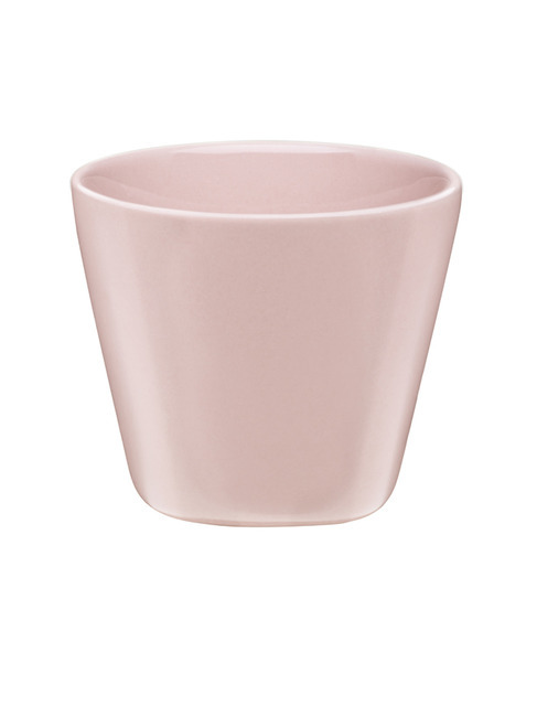 カップ（3,800円）