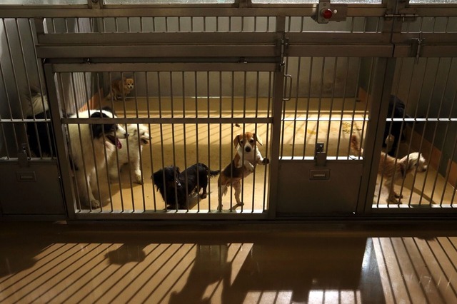 ドラマW「この街の命に」 (C)WOWOW