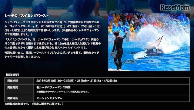 「スイミングバースト」概要