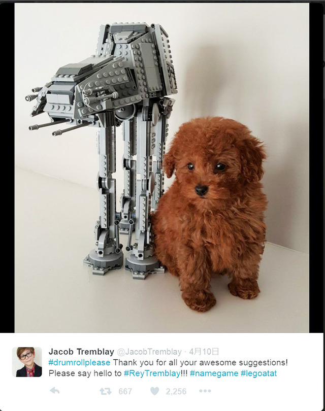 ジェイコブ・トレンブレイ-(C)Twitter