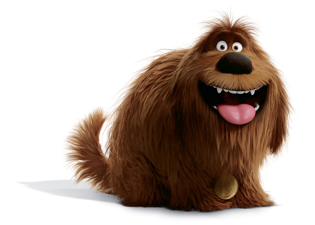 『ペット』（C）Universal Studios.