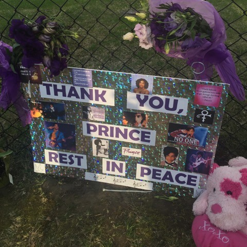 【ハリウッドより愛を込めて】 PURPLE REIGN（紫の時代）…プリンスを偲んで