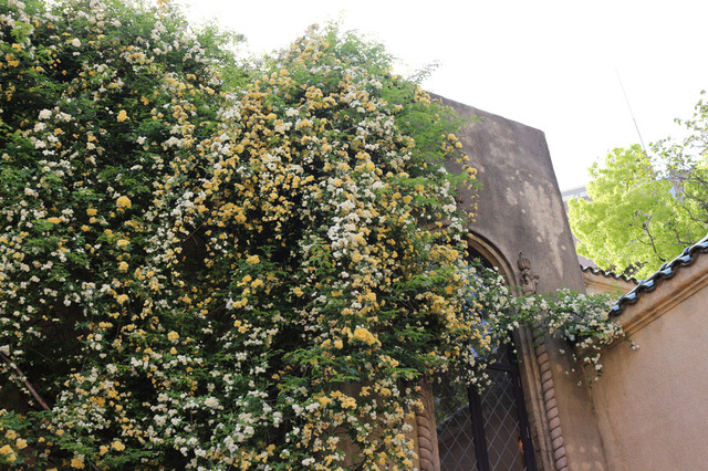 「OGA BAR by 小笠原伯爵邸」