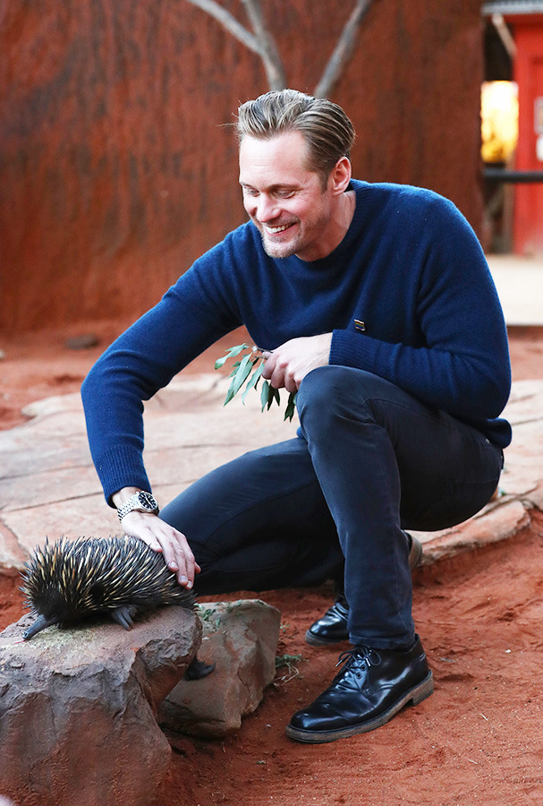 アレクサンダー・スカルスガルド-(C)Getty Images