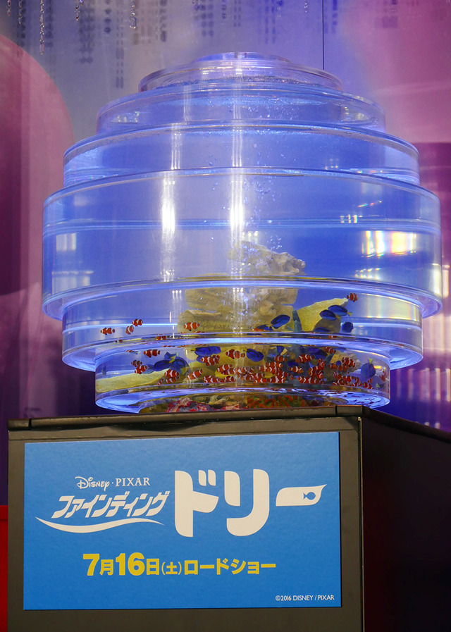 『ファインディング・ドリー』七夕イベント