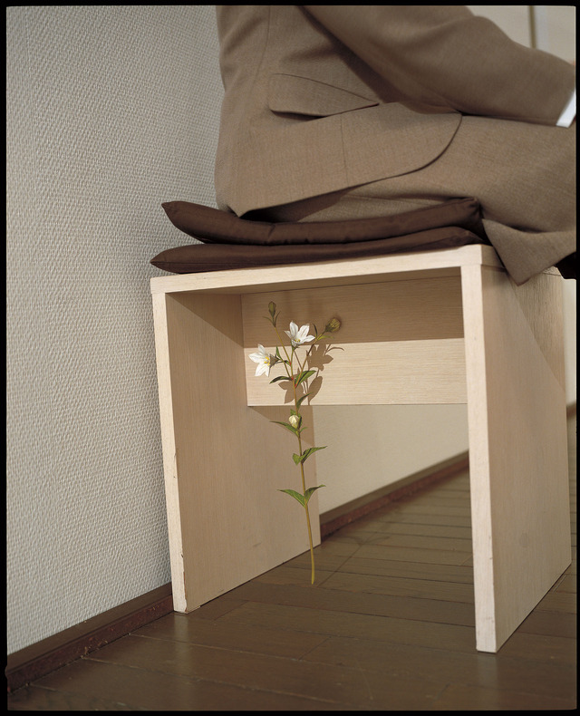 須田悦弘 《桔梗》 2003年（参考作品）