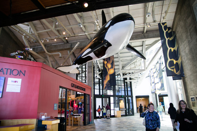 モントレーベイ水族館／撮影：Kaori Suzuki