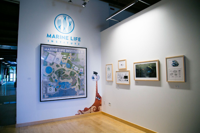 「THE STEVE JOBS BUILDING」2階『ファインディング・ドリー』ギャラリー／撮影：Kaori Suzuki