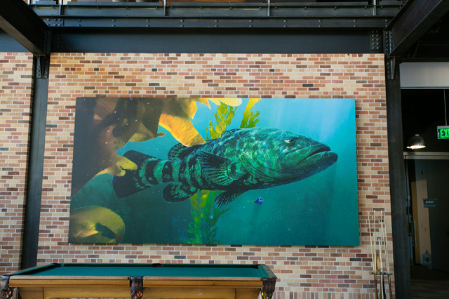 「THE STEVE JOBS BUILDING」1階／撮影：Kaori Suzuki