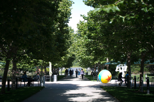 ／撮影：Kaori Suzuki