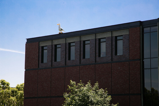 「ブルックリン」／撮影：Kaori Suzuki