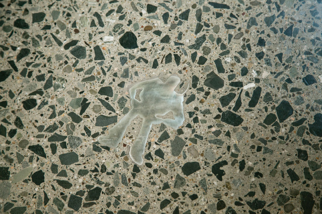 「ブルックリン」／撮影：Kaori Suzuki