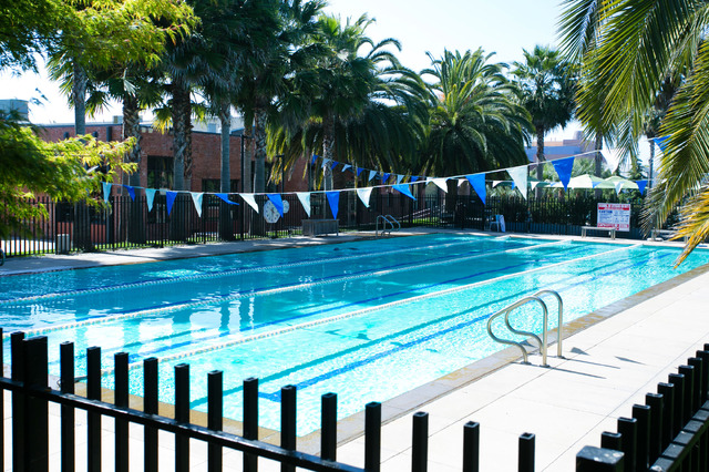 ／撮影：Kaori Suzuki