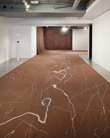 Le l&acirc;cher d'escargots |2009 かたつむり、カーペット|サイズ可変| Edition 2/3Snails, carpet |Dimensions variable | Edition 2/3 Photo: Martin Agyroglo, Courtesy of the artist and ART : CONCEPT, Paris