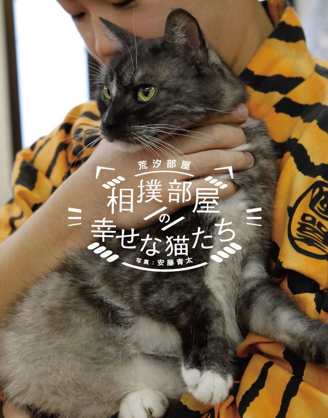 「相撲部屋の幸せな猫たち」書影　（C）libre 2016