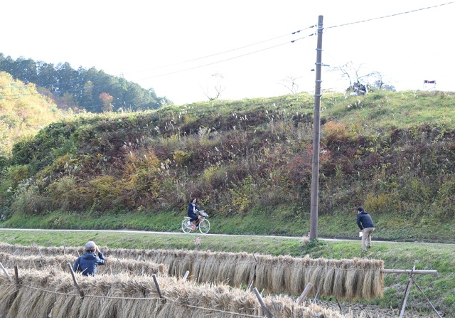 連続テレビ小説「ひよっこ」茨城ロケ