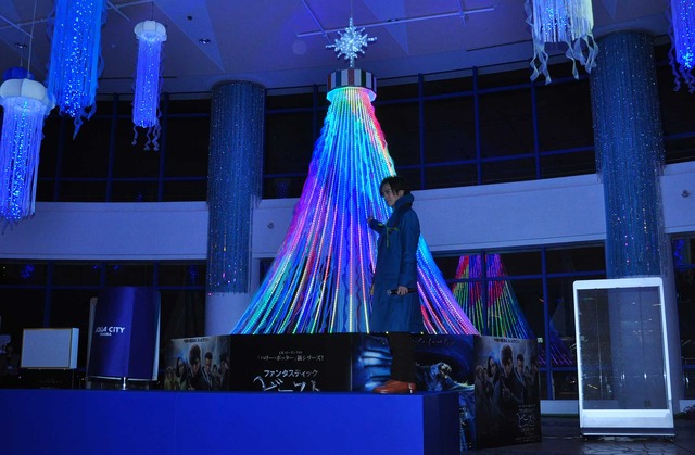 DAIGO／『ファンタスティック・ビーストと魔法使いの旅』イルミネーション点灯式