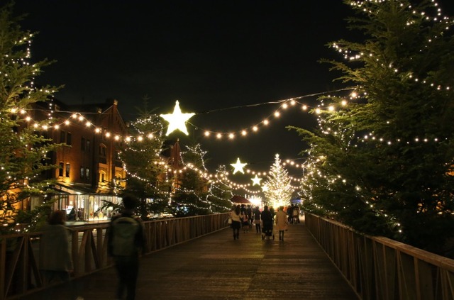 「クリスマスマーケット in 横浜赤レンガ倉庫」モミの木の並木道