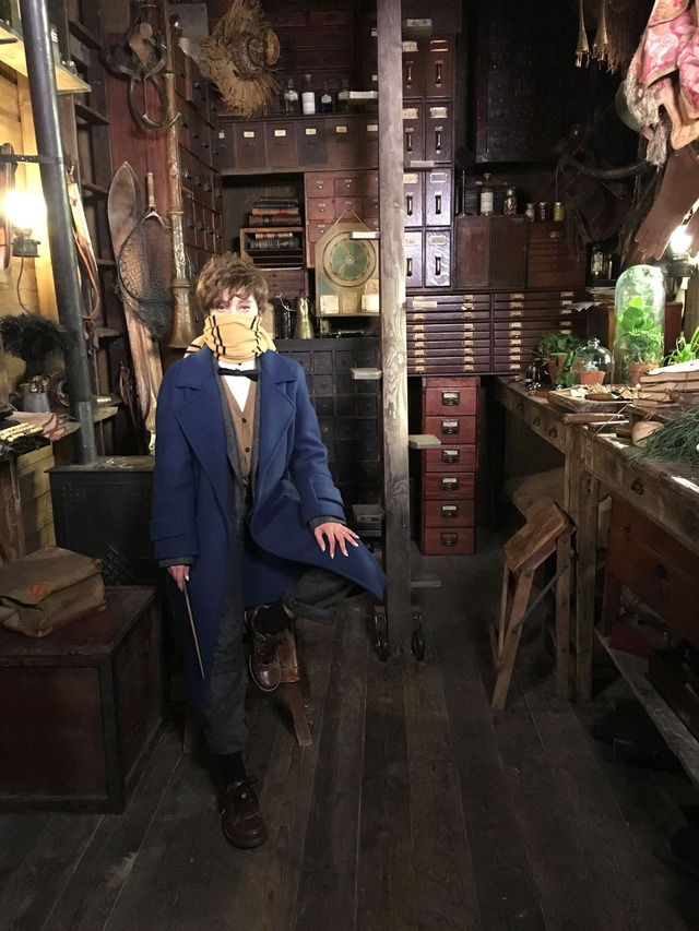 ざわちんがニュートに!?『ファンタスティック・ビーストと魔法使いの旅』　(C) 2016 Warner Bros. Ent.  All Rights Reserved.Harry Potter and Fantastic Beasts Publishing Rights (C) JKR.