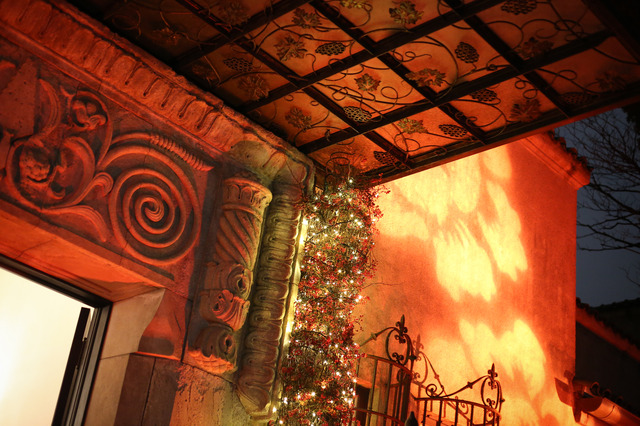 小笠原伯爵邸 ブラックタイ・クリスマスパーティ「聖なる薔薇の夜会」　外観