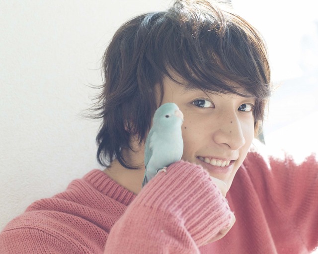 「小関裕太 2017年カレンダー」