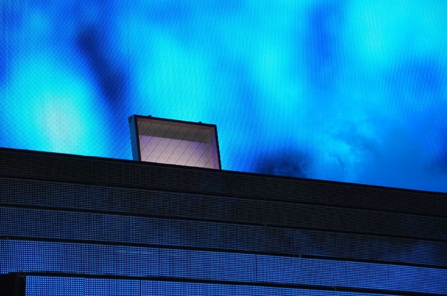 『ファンタスティック・ビーストと魔法使いの旅』ジャパン・プレミア